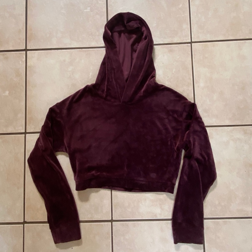 🌿2/$25🌿velvet cropped hoodie